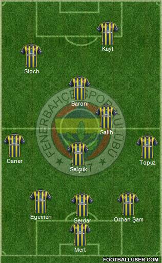 Fenerbahçe SK Formation 2013