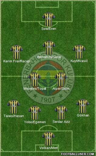 Fenerbahçe SK Formation 2013