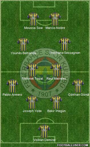 Fenerbahçe SK Formation 2013
