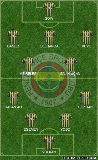 Fenerbahçe SK Formation 2013