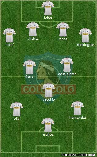 CSD Colo Colo Formation 2013