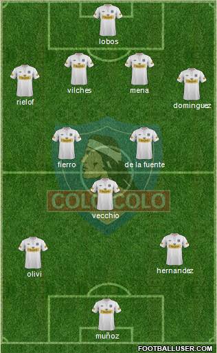 CSD Colo Colo Formation 2013