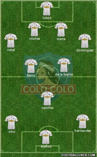 CSD Colo Colo Formation 2013