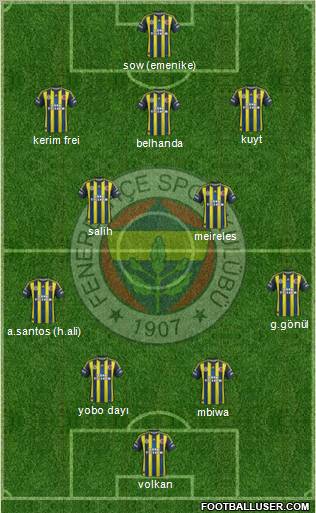 Fenerbahçe SK Formation 2013