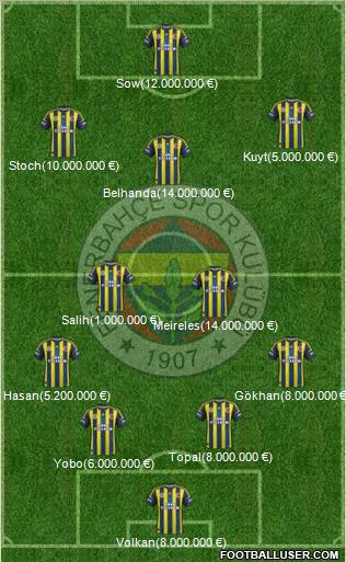 Fenerbahçe SK Formation 2013