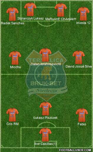Termalica Bruk-Bet Nieciecza Formation 2013