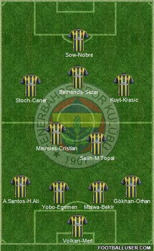 Fenerbahçe SK Formation 2013