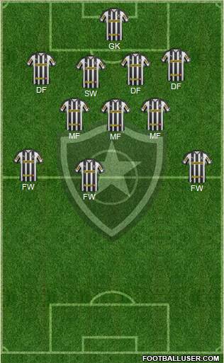 Botafogo FR Formation 2013