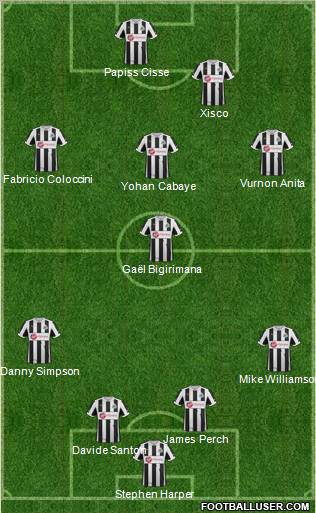 Newcastle United Formation 2013