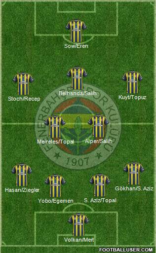 Fenerbahçe SK Formation 2013