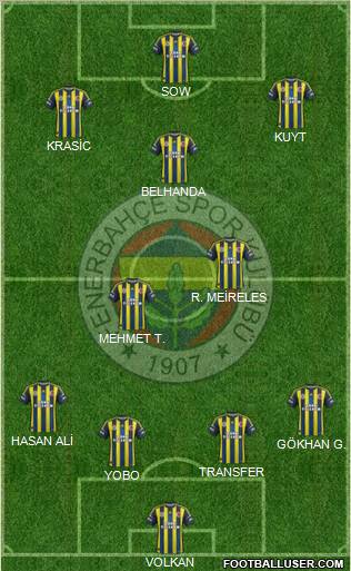 Fenerbahçe SK Formation 2013