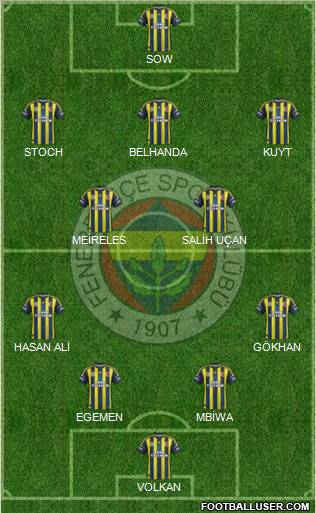 Fenerbahçe SK Formation 2013