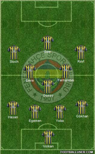 Fenerbahçe SK Formation 2013