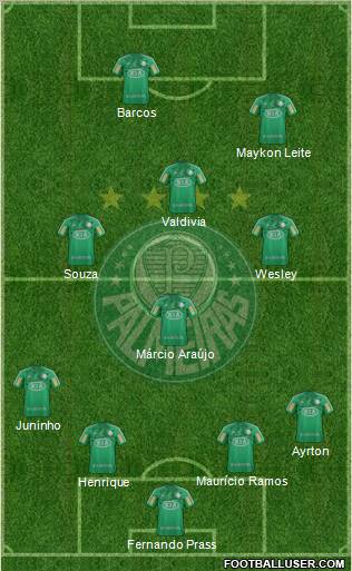 SE Palmeiras Formation 2013