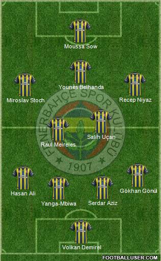 Fenerbahçe SK Formation 2013