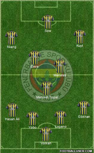 Fenerbahçe SK Formation 2013
