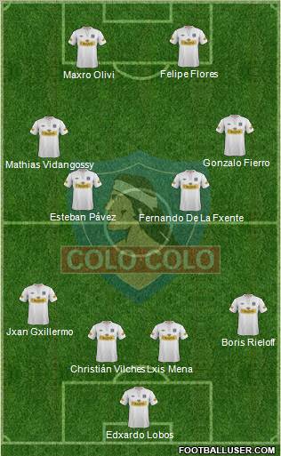 CSD Colo Colo Formation 2013