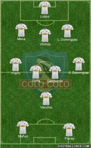 CSD Colo Colo Formation 2013