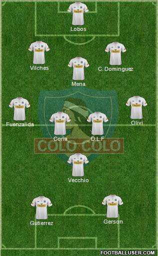 CSD Colo Colo Formation 2013