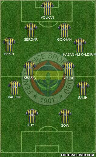 Fenerbahçe SK Formation 2013