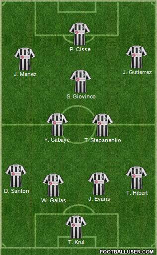 Newcastle United Formation 2013