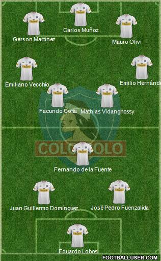 CSD Colo Colo Formation 2013