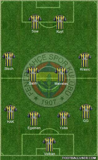 Fenerbahçe SK Formation 2013