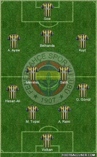 Fenerbahçe SK Formation 2013