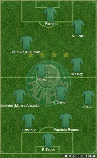SE Palmeiras Formation 2013