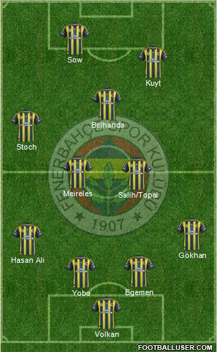 Fenerbahçe SK Formation 2013