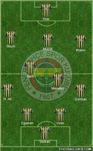 Fenerbahçe SK Formation 2013