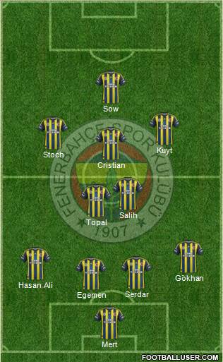 Fenerbahçe SK Formation 2013