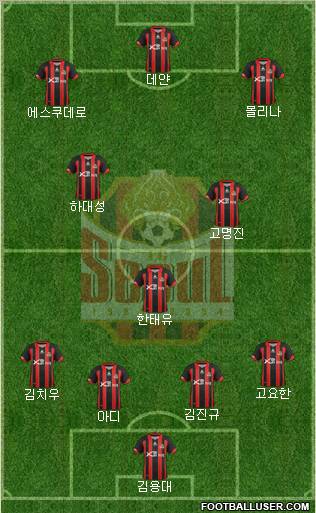 FC Seoul Formation 2013