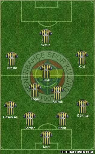 Fenerbahçe SK Formation 2013