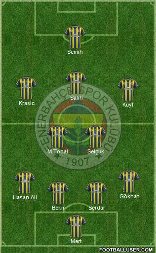 Fenerbahçe SK Formation 2013