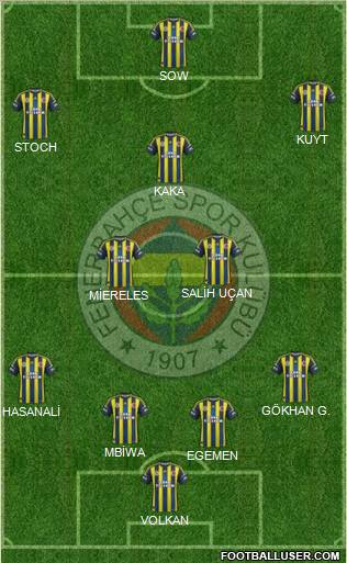 Fenerbahçe SK Formation 2013