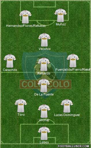 CSD Colo Colo Formation 2013