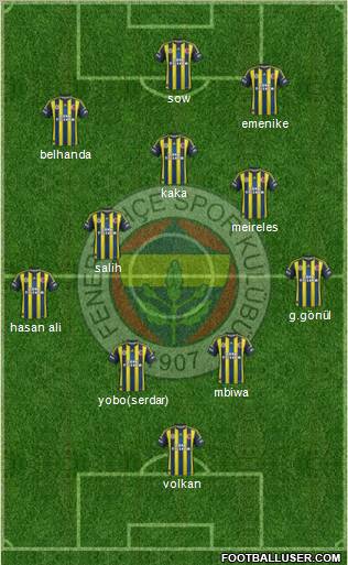 Fenerbahçe SK Formation 2013