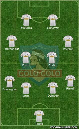 CSD Colo Colo Formation 2013