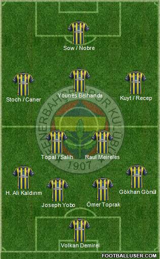 Fenerbahçe SK Formation 2013