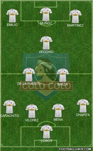 CSD Colo Colo Formation 2013