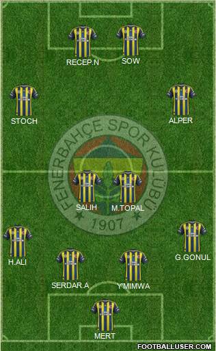 Fenerbahçe SK Formation 2013