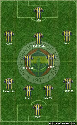 Fenerbahçe SK Formation 2013