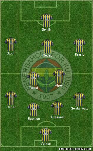 Fenerbahçe SK Formation 2013