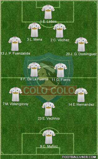 CSD Colo Colo Formation 2013