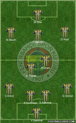 Fenerbahçe SK Formation 2013