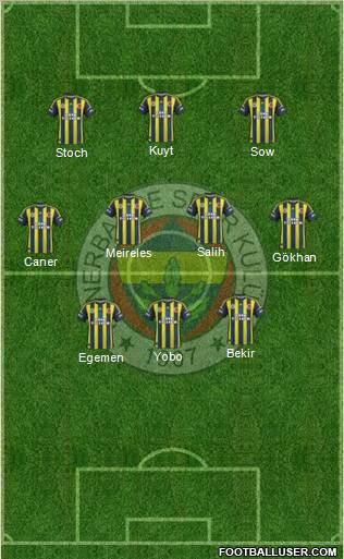 Fenerbahçe SK Formation 2013
