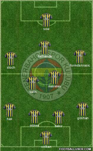 Fenerbahçe SK Formation 2013