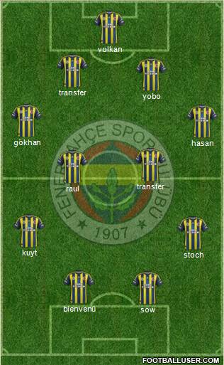 Fenerbahçe SK Formation 2013