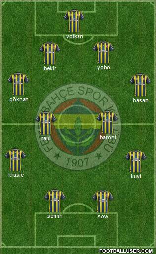 Fenerbahçe SK Formation 2013